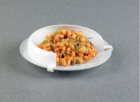 Picture of Plate Guard