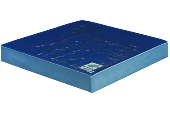 Picture of Gel & Foam High Risk Cushion