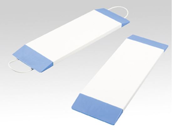 Picture of Transfer Slide