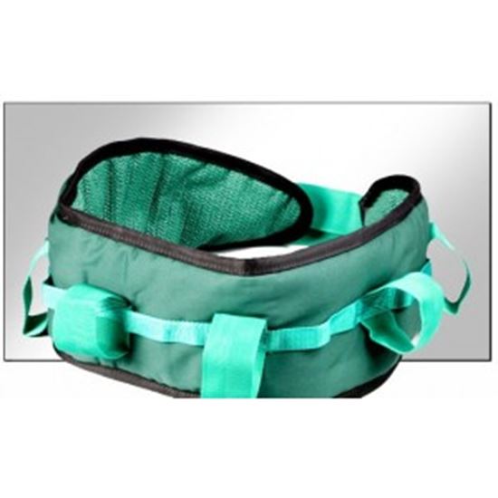 Picture of Maxi Plus Deluxe Handling Belt