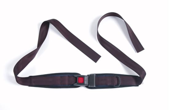 Picture of Lap Belt