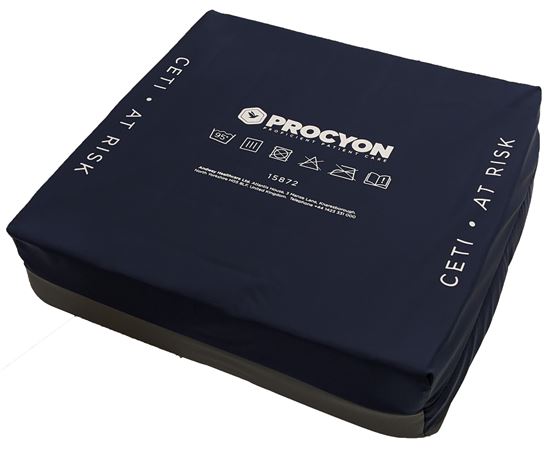 Picture of Ceti At Risk Cushion (17x17x4")