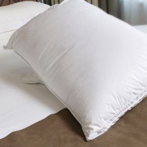 500gsm Source 2 FR Pillow