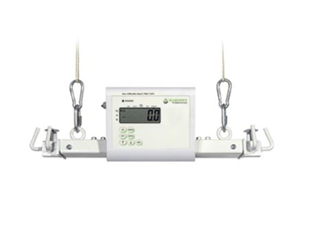 Picture for category Hoist Weigh Scale Attachment