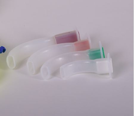 Picture for category Adult Airway