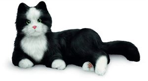 Show details for Companion Pet Black & White Cat
