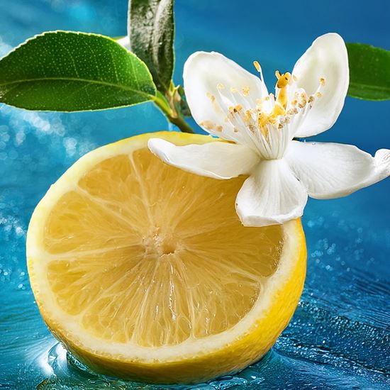 Picture of P-Wave Easy Fresh Covers - Ocean Mist x12