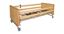 Picture of ARIES Profiling Bed with siderails  - Walnut Finish