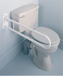 Trombone Fold away grab rail