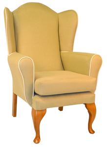 Adhara Wing Chair - lounge chair for care homes