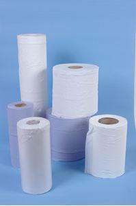 Hygiene Couch Roll 10inch x 100 Sheets - Blue ( 18 )